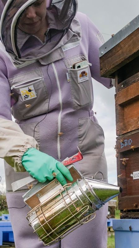 a beekeeper stands in front of beehives, calming them with smoke