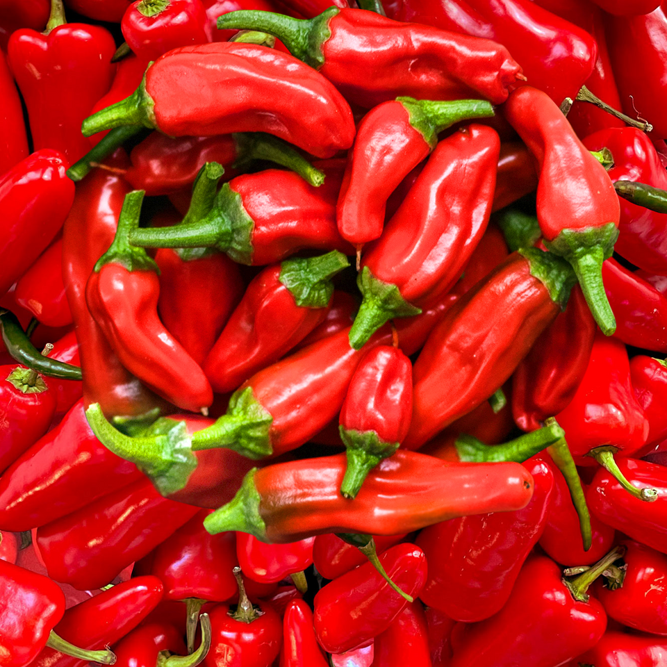 a pile of red peppers with green stems