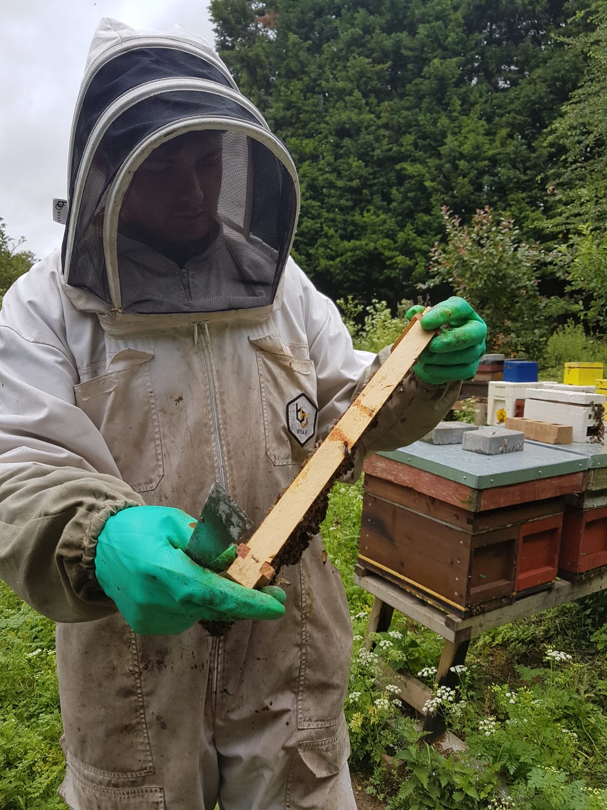 a man in a bee suit is holding a piece of wood in front of a beehive .