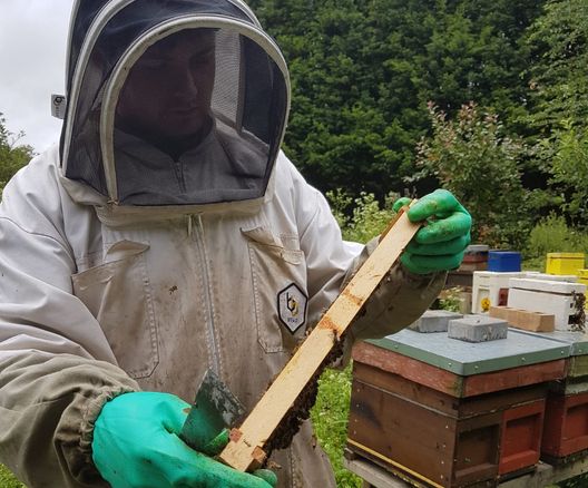 a man in a bee suit is holding a piece of wood in front of a beehive .