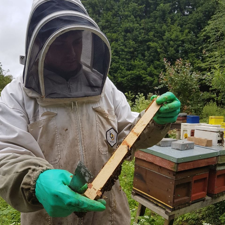 a man in a bee suit is holding a piece of wood in front of a beehive .