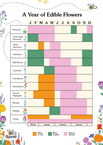 a chart showing a year of edible flowers