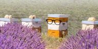 a beehive with glasses on it is in a field of lavender .