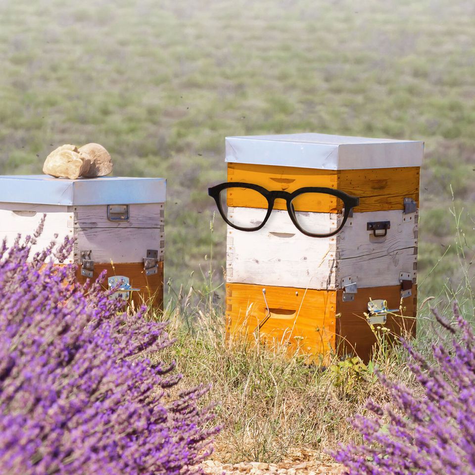 a beehive with glasses on it is in a field of lavender .