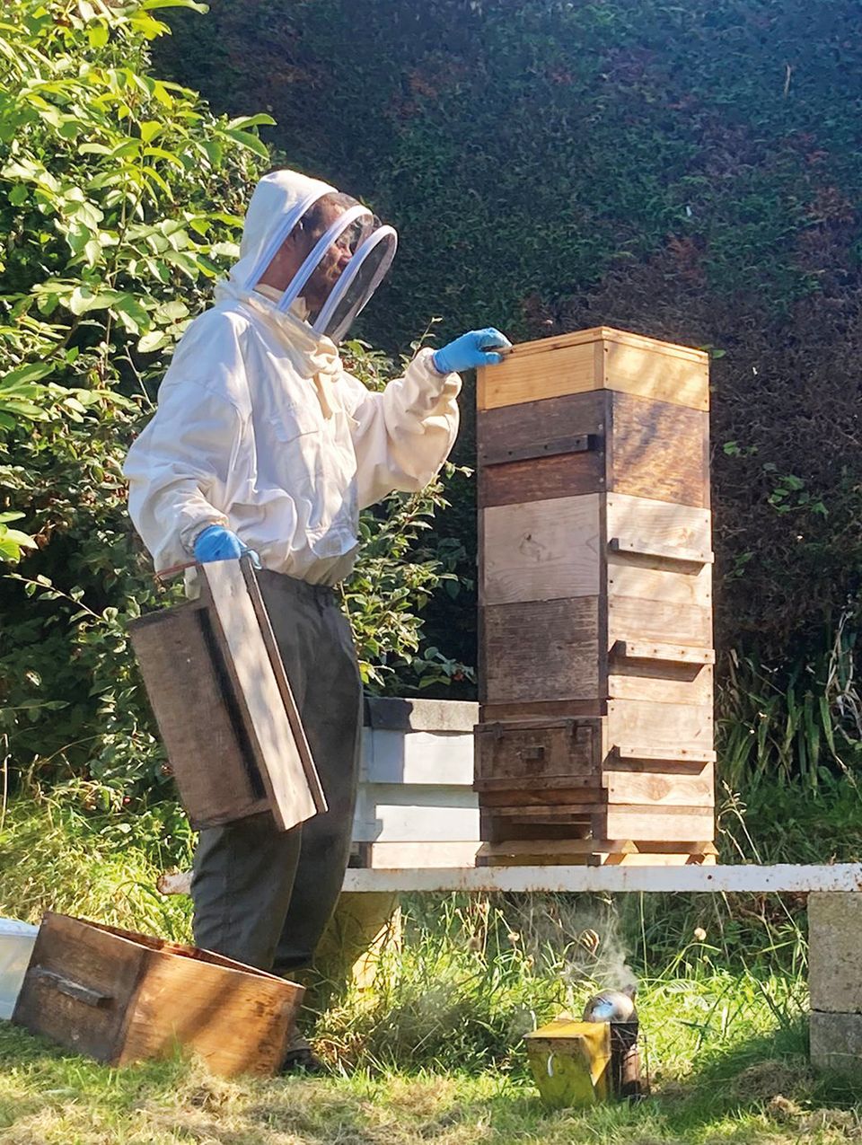a man wearing a beekeeper 's suit is working on a beehive
