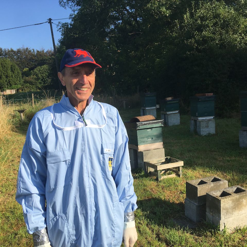 a beekeeper stands in front of beehives
