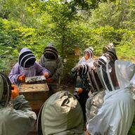 a group of people in bee suits are standing around a beehive in the woods .