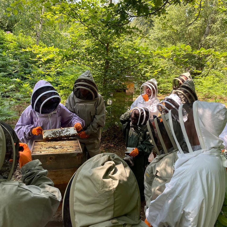 a group of people in bee suits are standing around a beehive in the woods .
