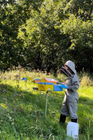 a man in a bee suit is standing in a field with beehives