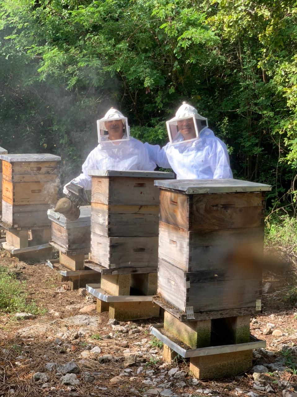 two beekeepers are working on beehives in the woods .