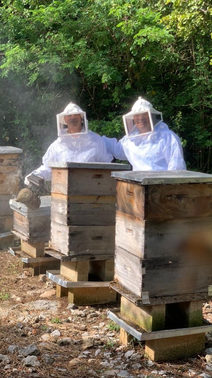 two beekeepers are working on beehives in the woods .