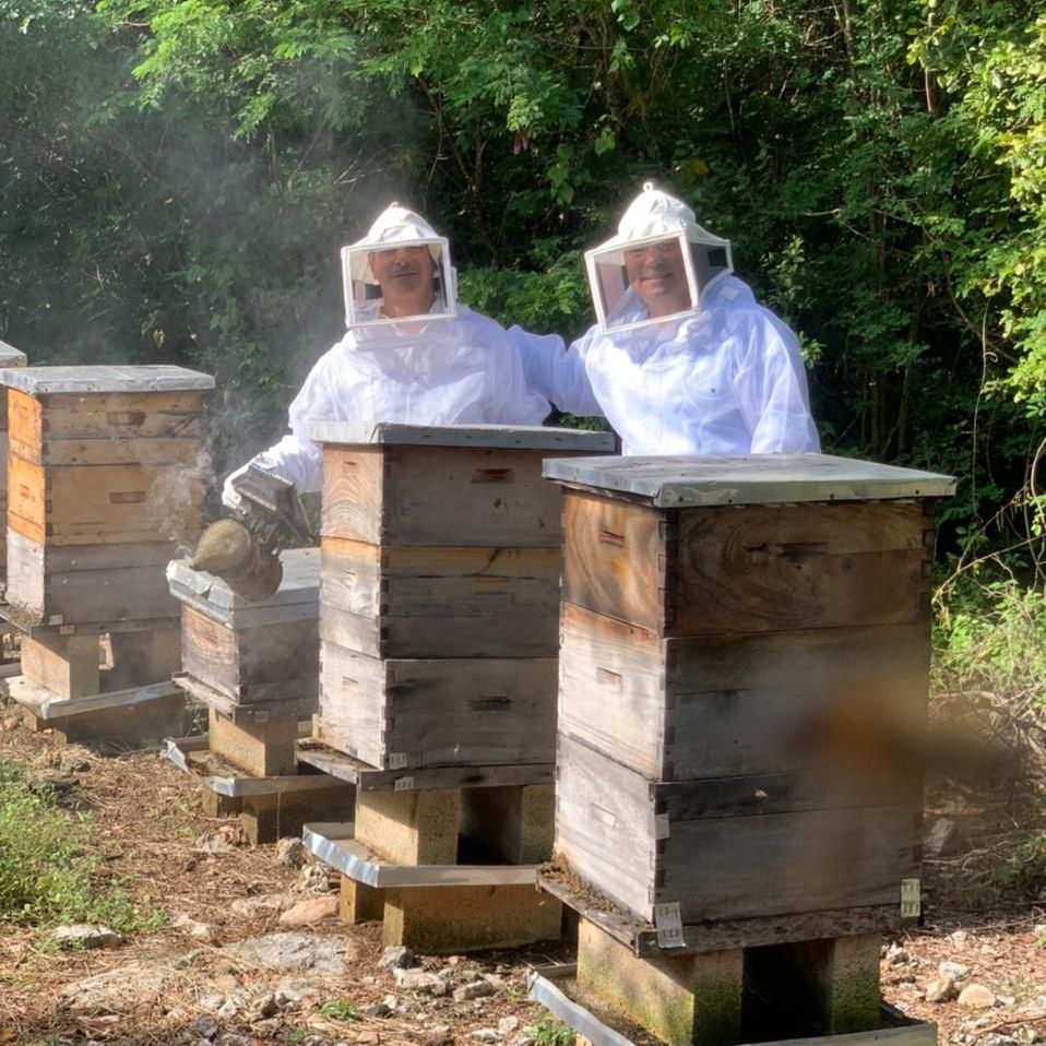 two beekeepers are working on beehives in the woods .