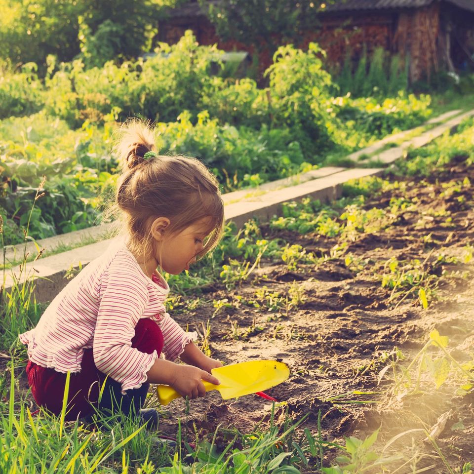 a little girl is playing in the dirt in a garden .