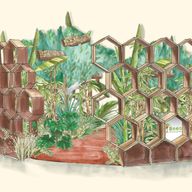 a drawing of a garden with a fence made of honeycombs and plants .
