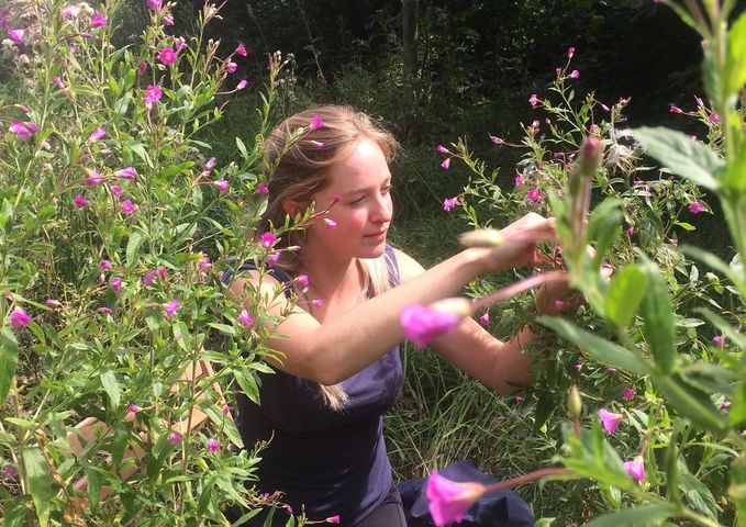 PhD student Veronica Wignall in a garden, looking closely at purple flowers