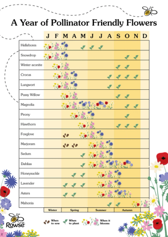 a chart showing a year of pollinator friendly flowers