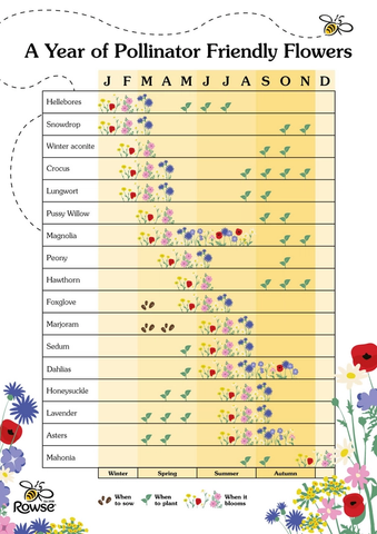 a chart showing a year of pollinator friendly flowers
