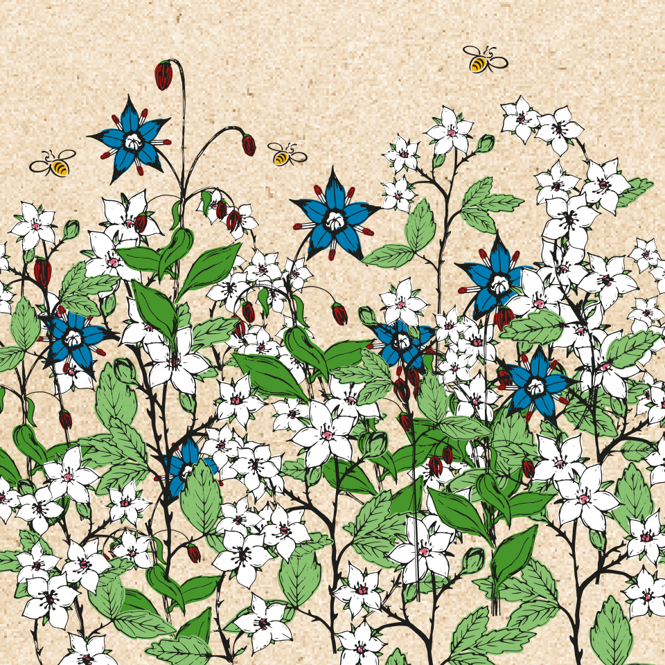 a drawing of flowers with bees flying around them