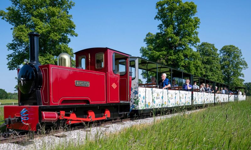 a red train is going down the tracks in a field .