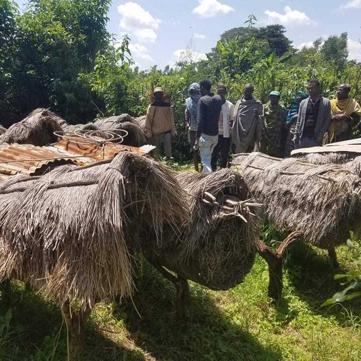 a group of people are standing around a pile of thatched roofs .