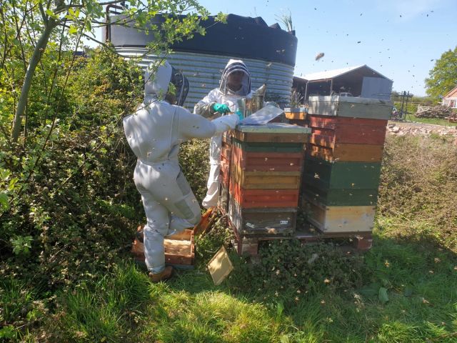 two beekeepers are working on a beehive in a field .