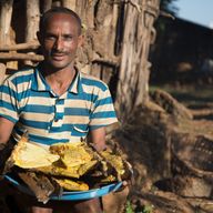 a man in a striped shirt is holding a tray of honeycombs.