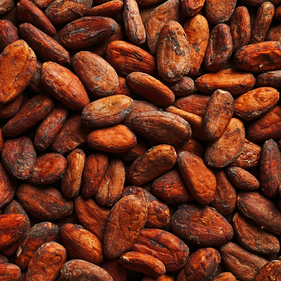 a close up of a pile of cocoa beans