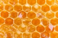 a close up of a honeycomb filled with honey .