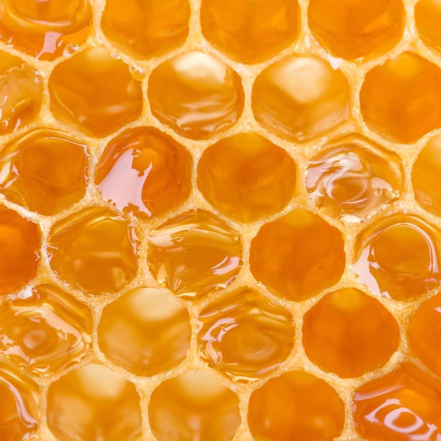 a close up of a honeycomb filled with honey .