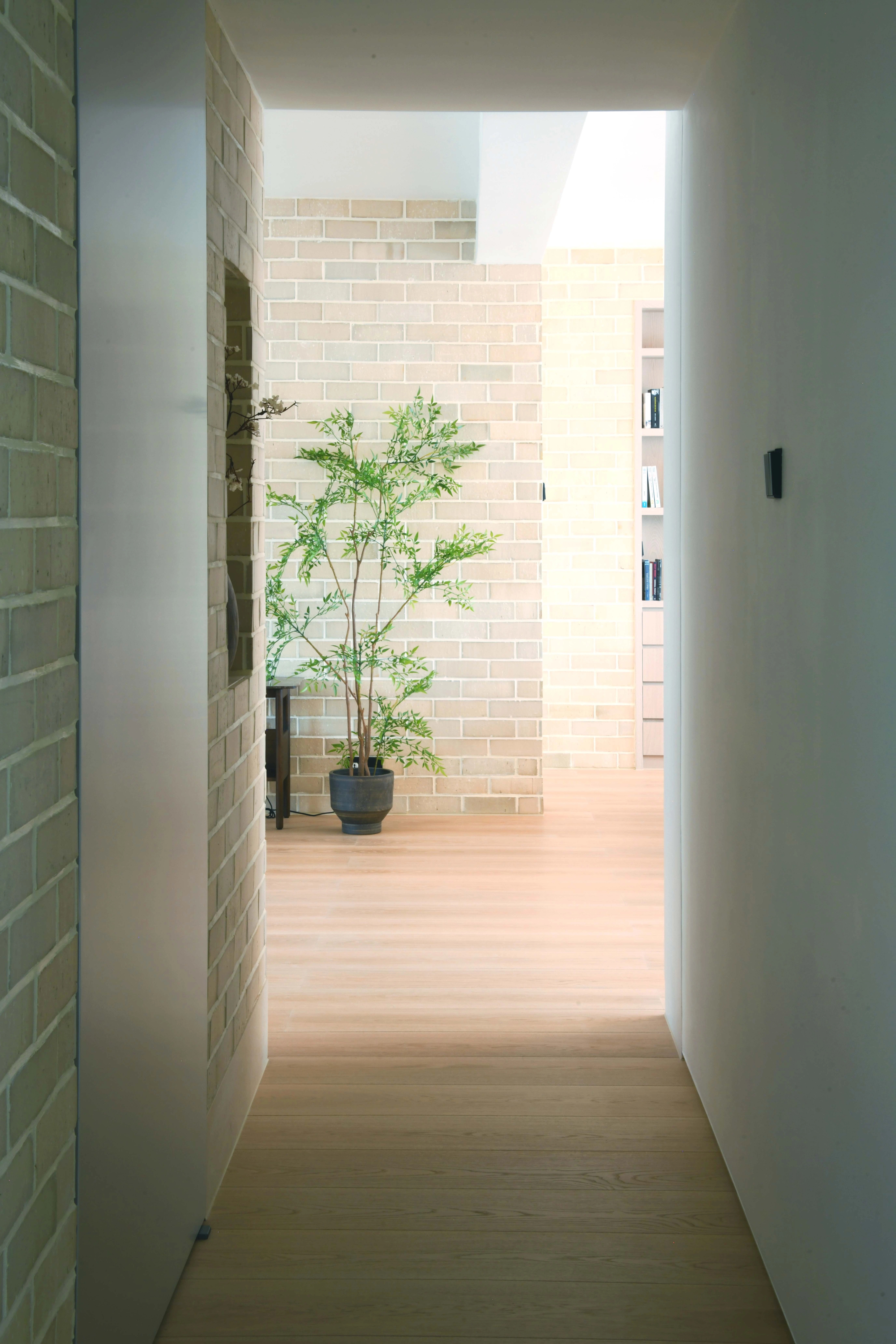 corridor with view of potted plant against brick wall