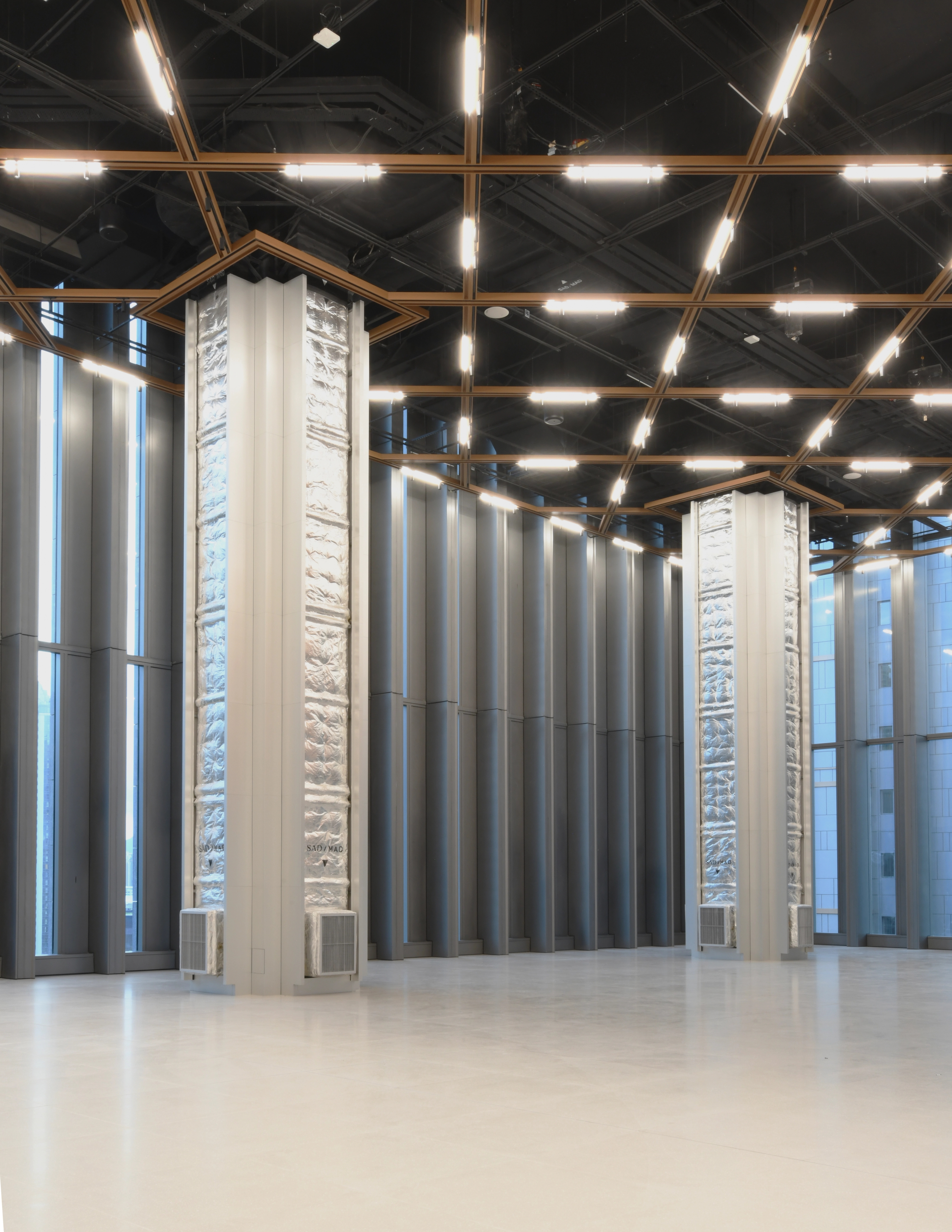 Triple height multi purpose hall with silver columns and timber grid ceiling