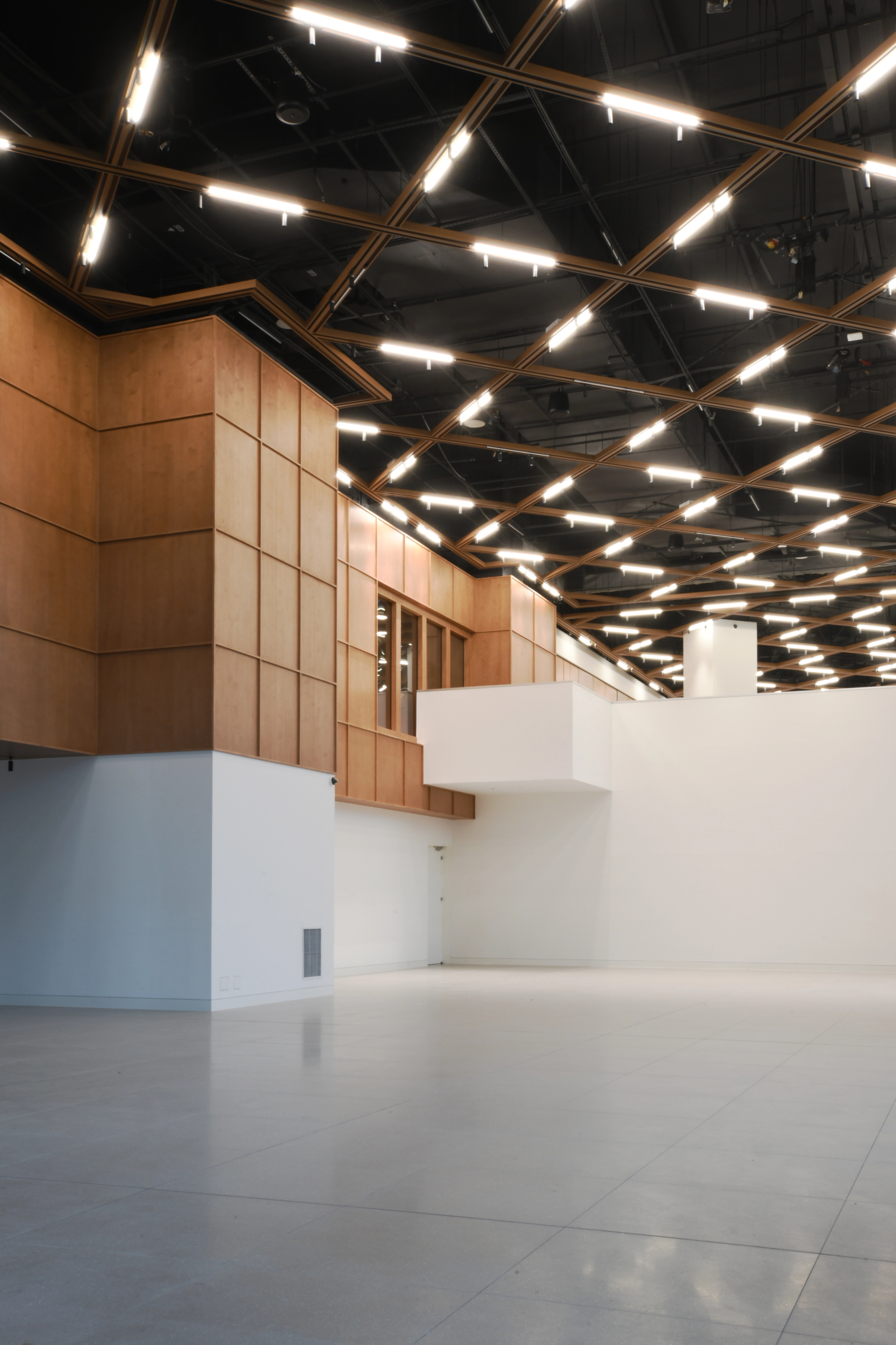 Triple height ninth floor sports and multipurpose hall