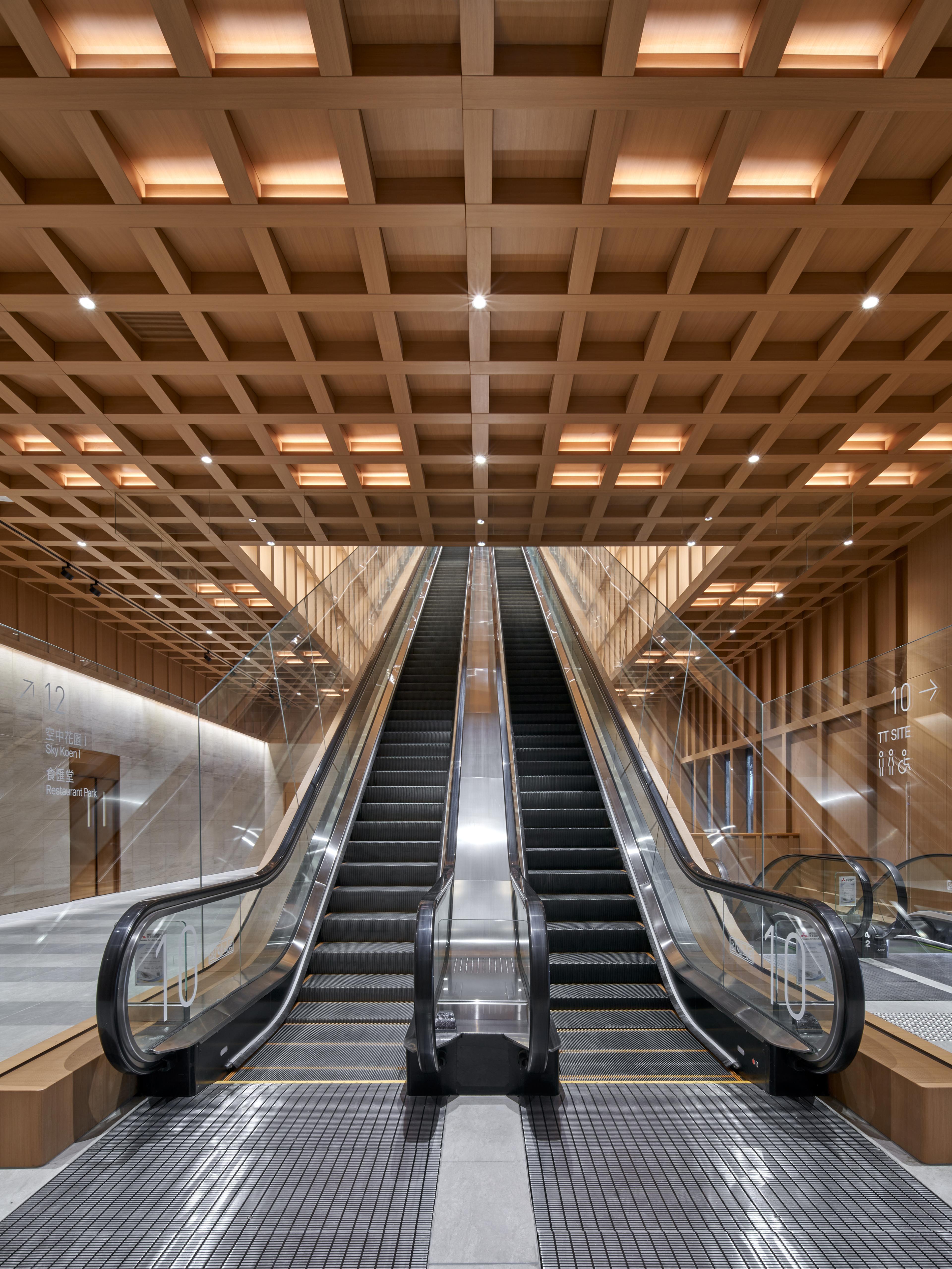 View of escalator into timber lined void