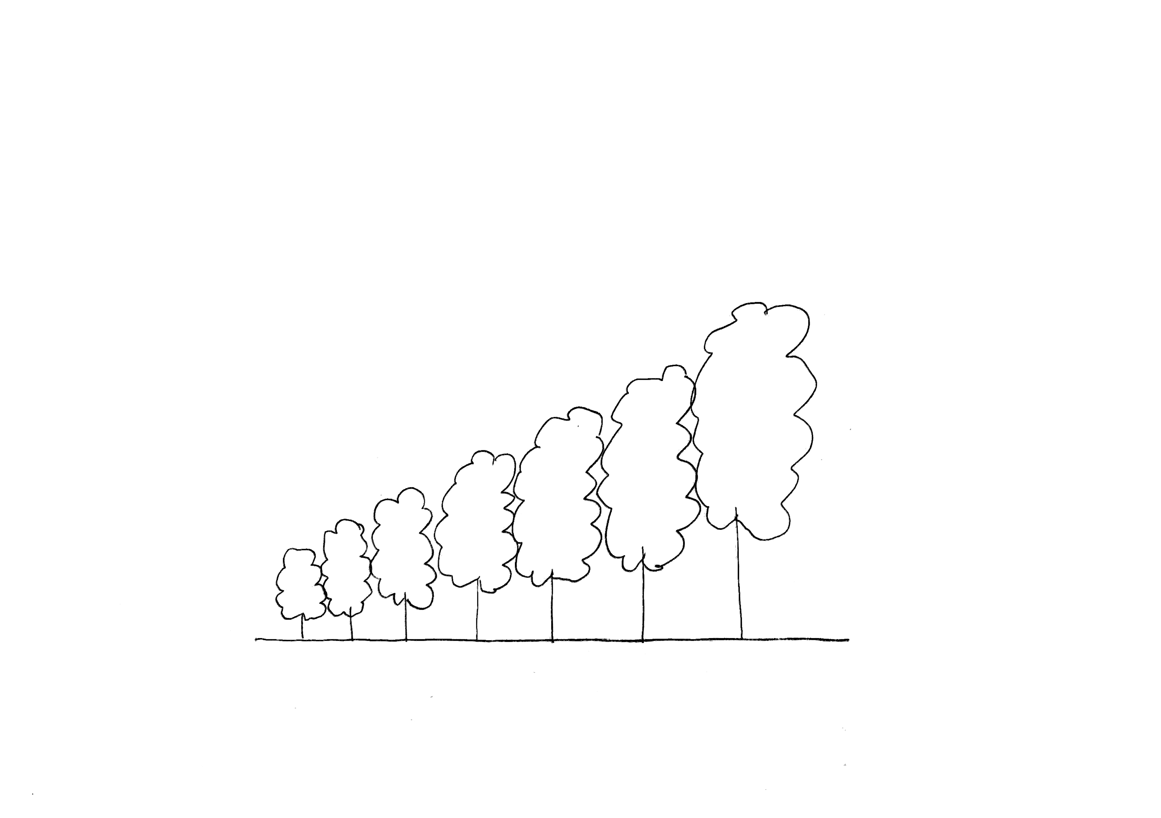 trees