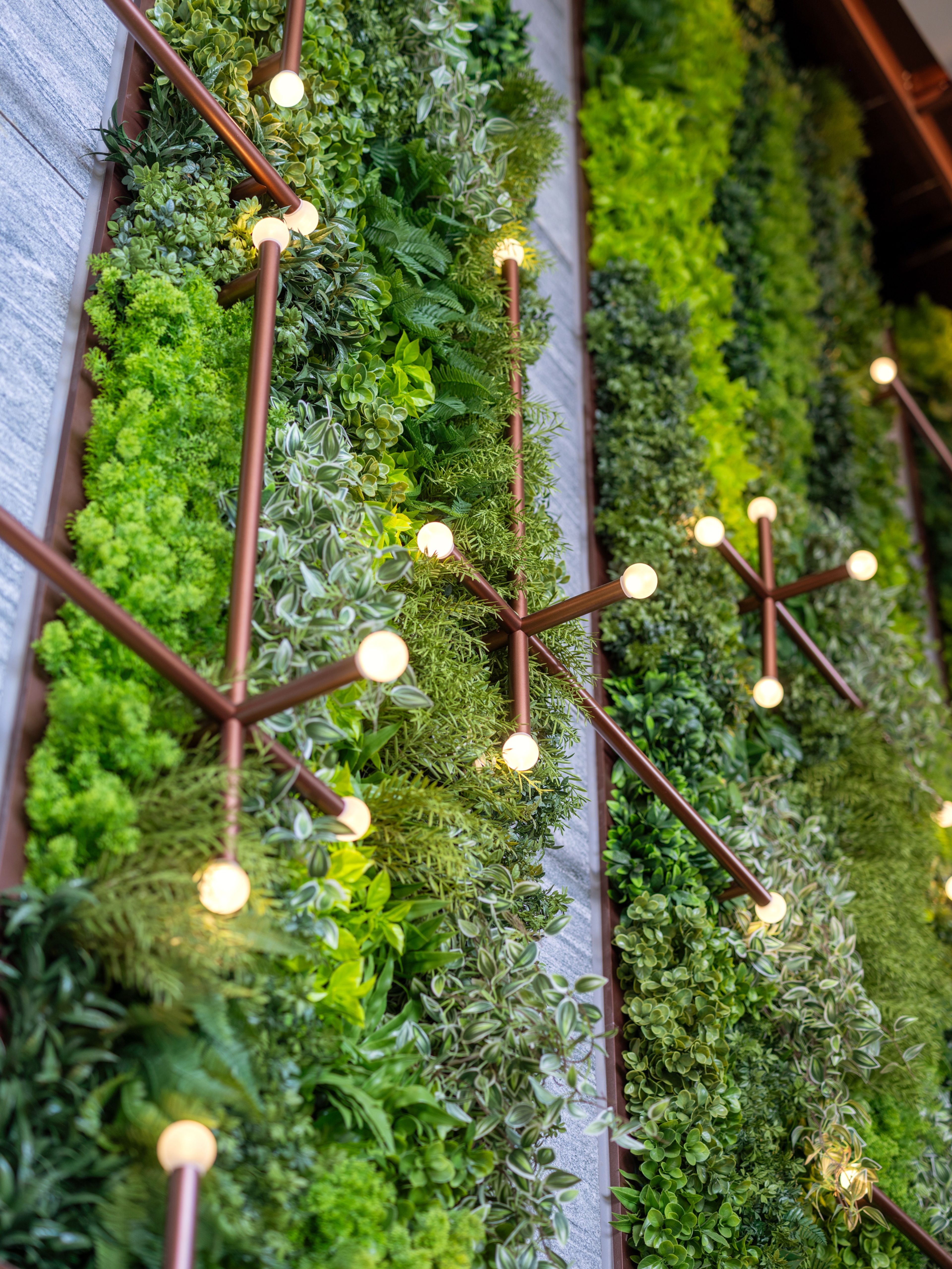 wall