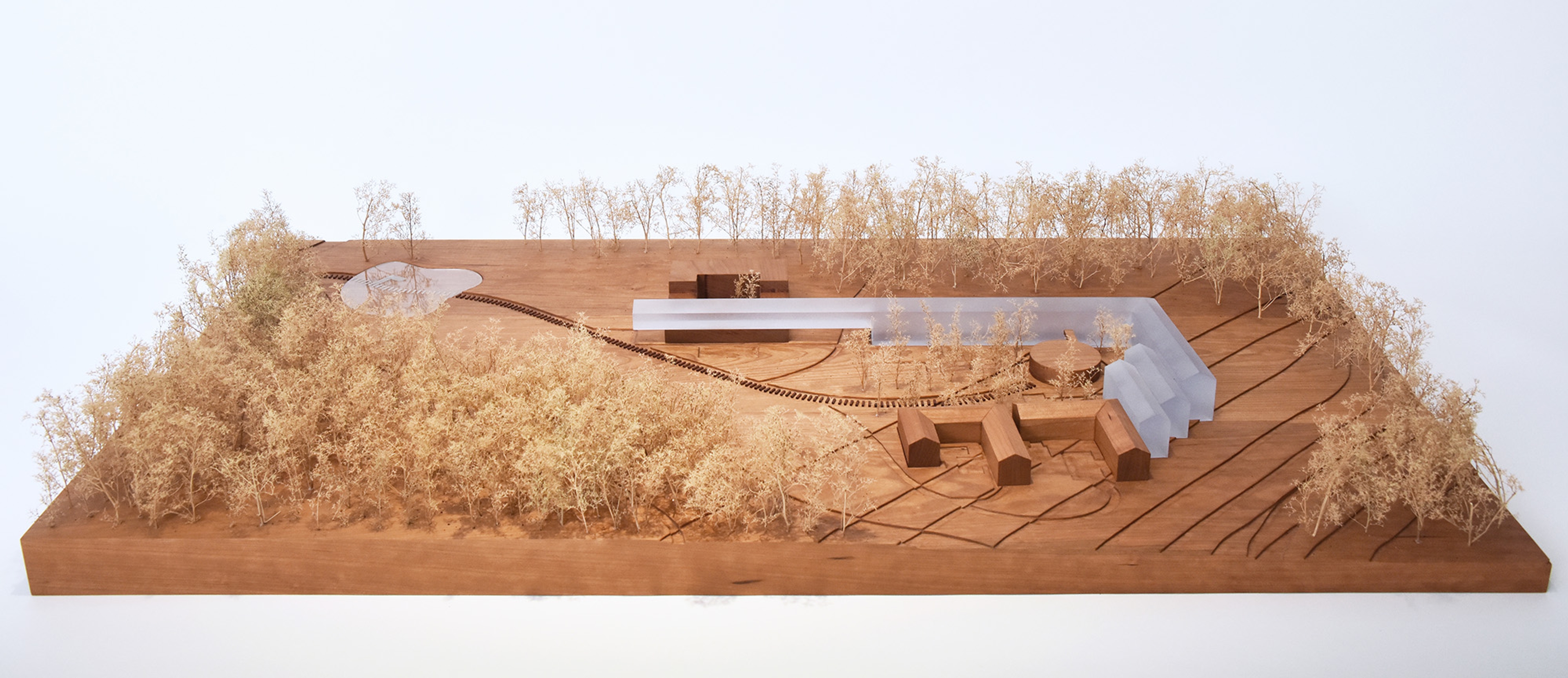 architectural model of modern structure on a hill within a forest