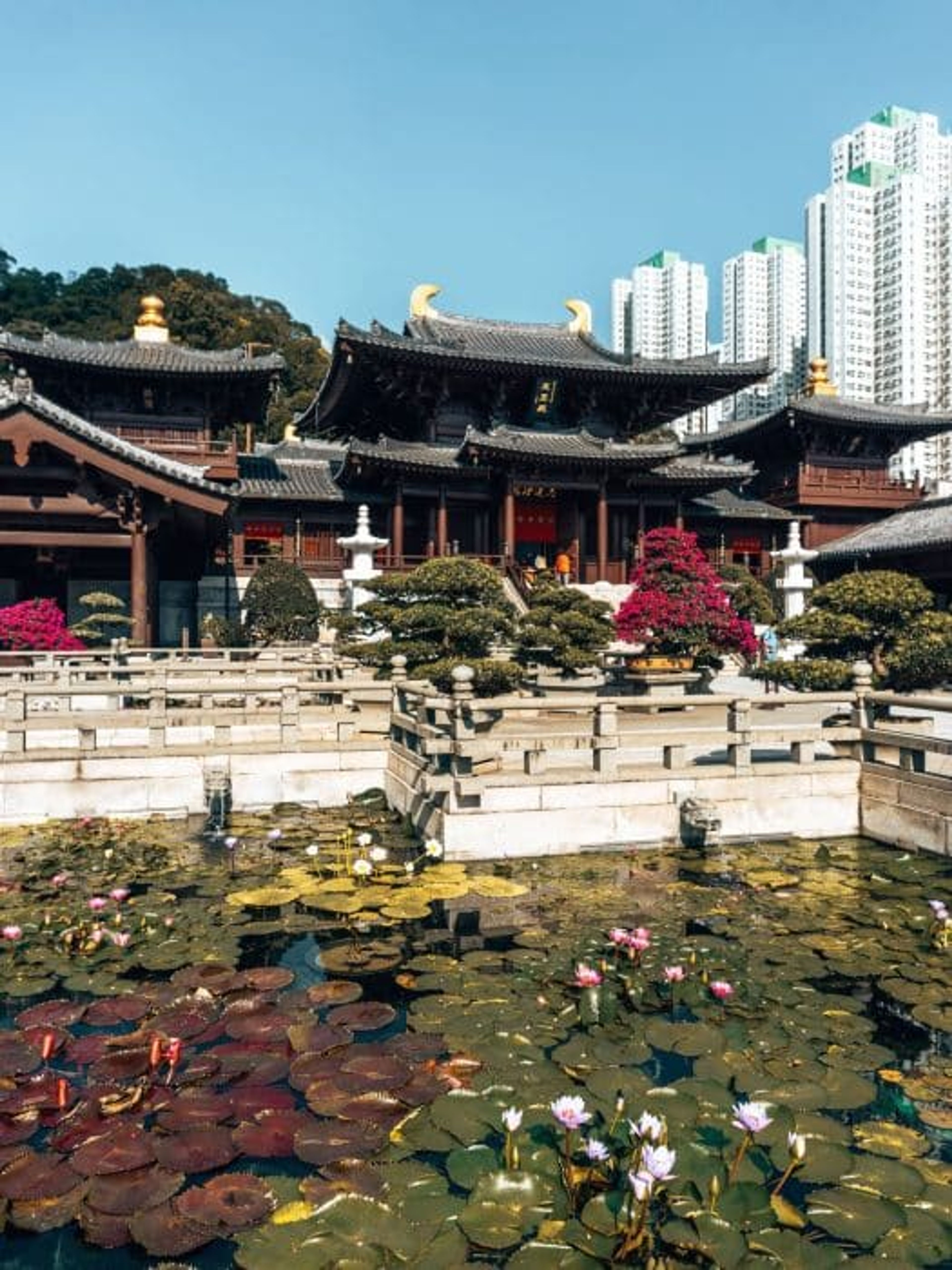 chi lin nunnery