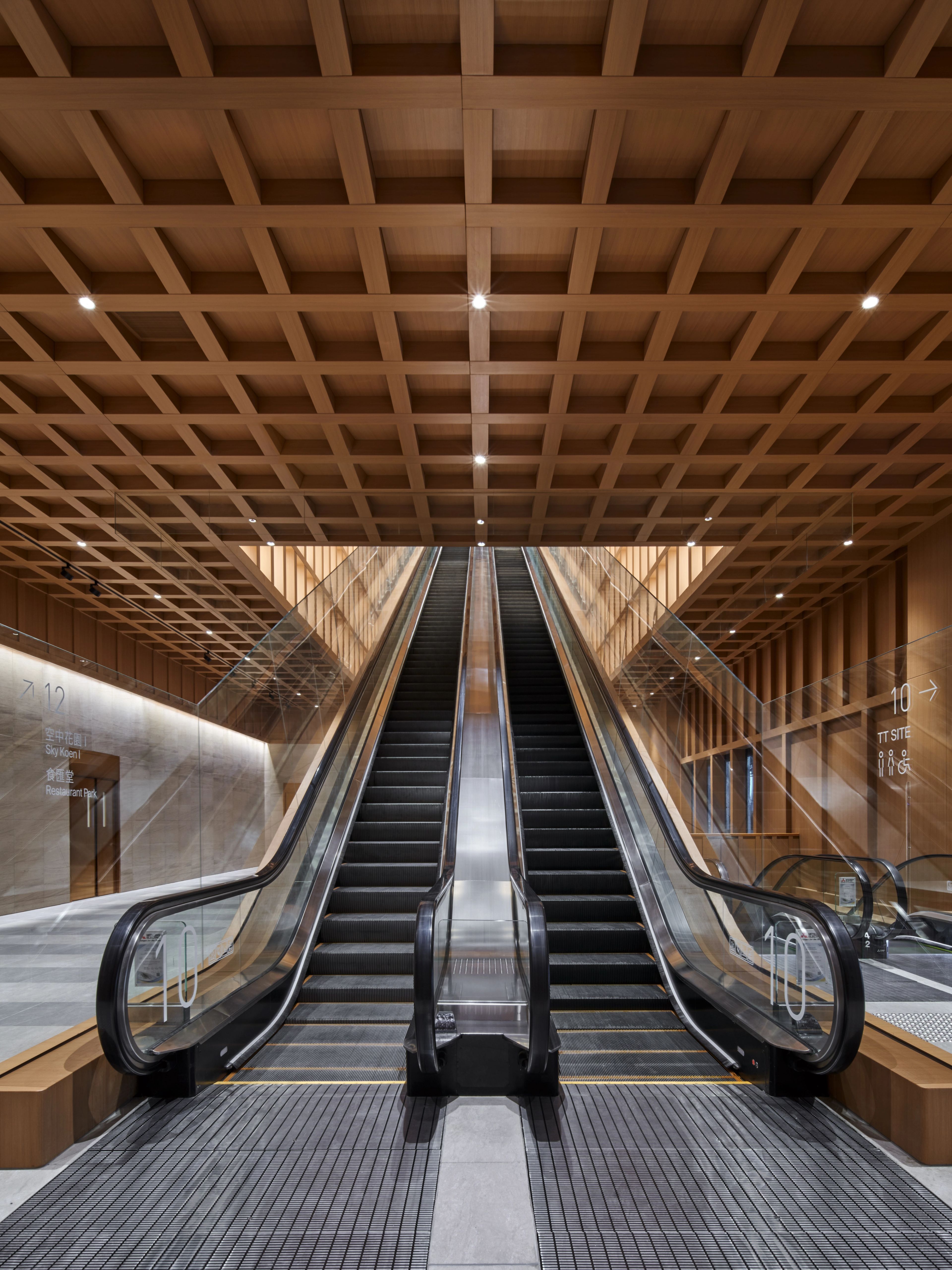 View of escalator into timber lined void