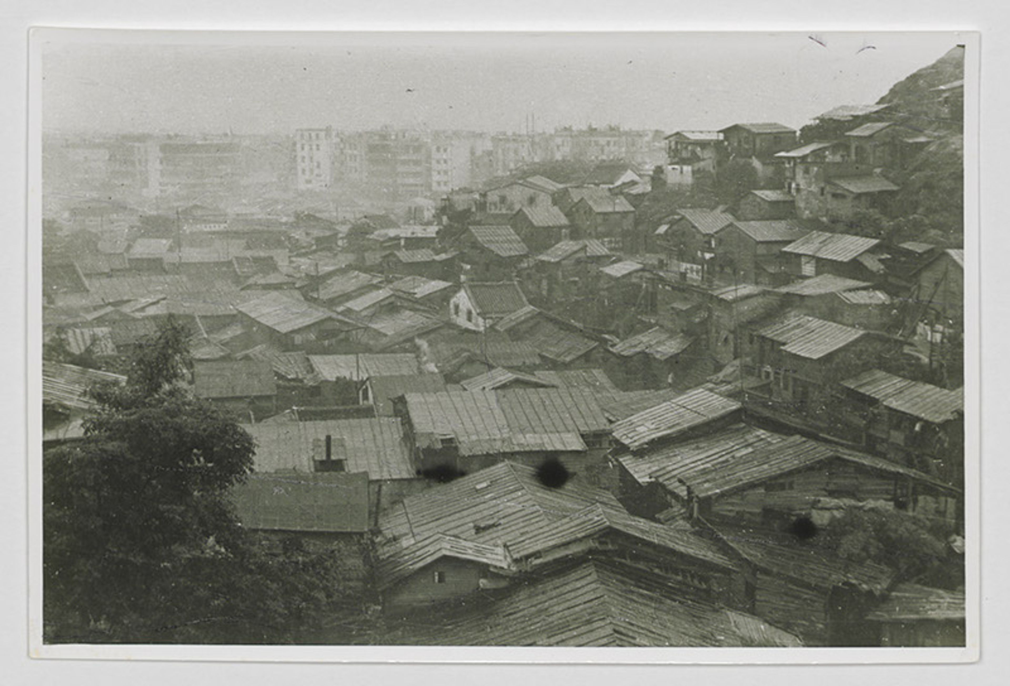 shek kip mei