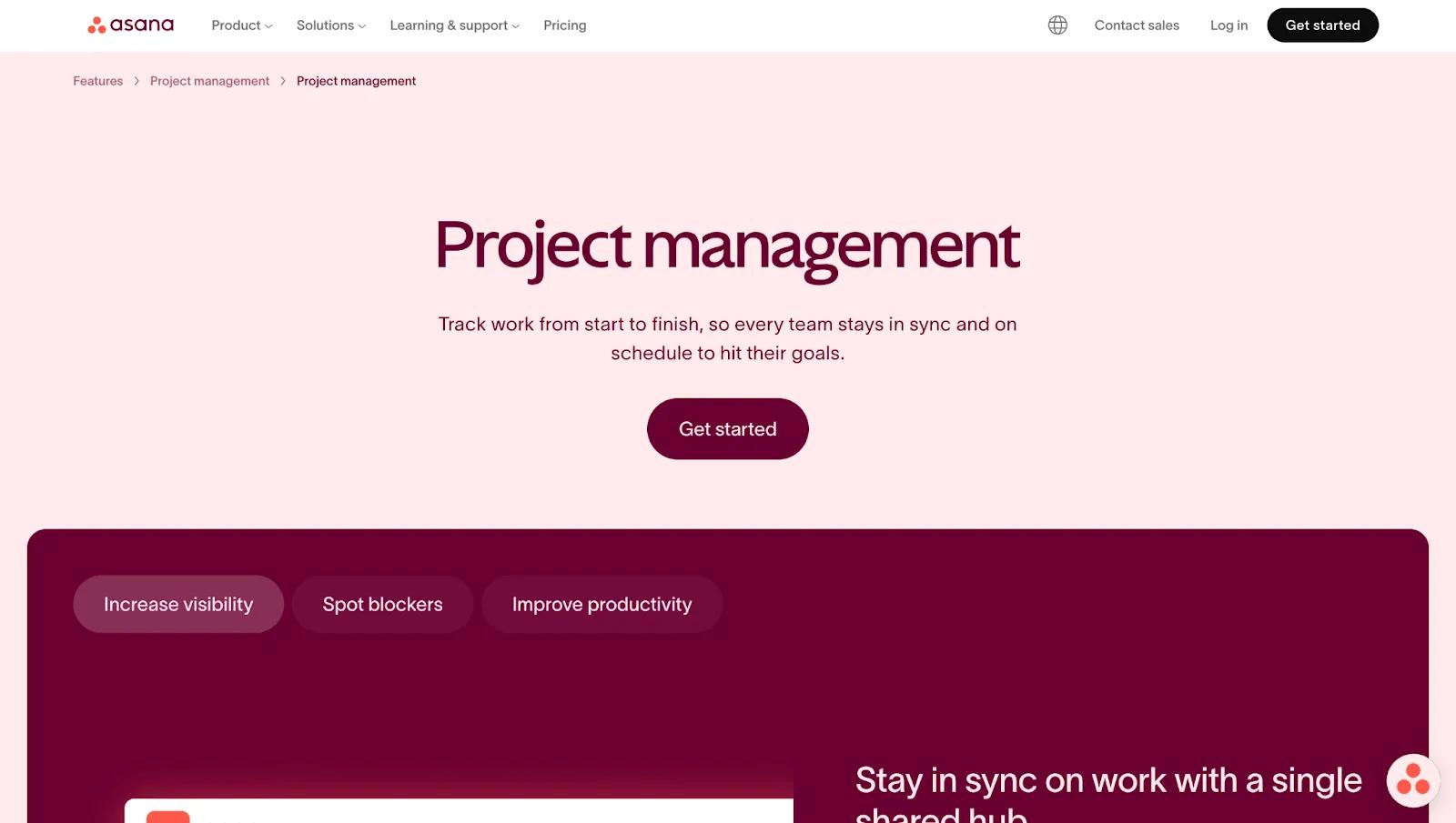 Asana leading project management tool for agencies