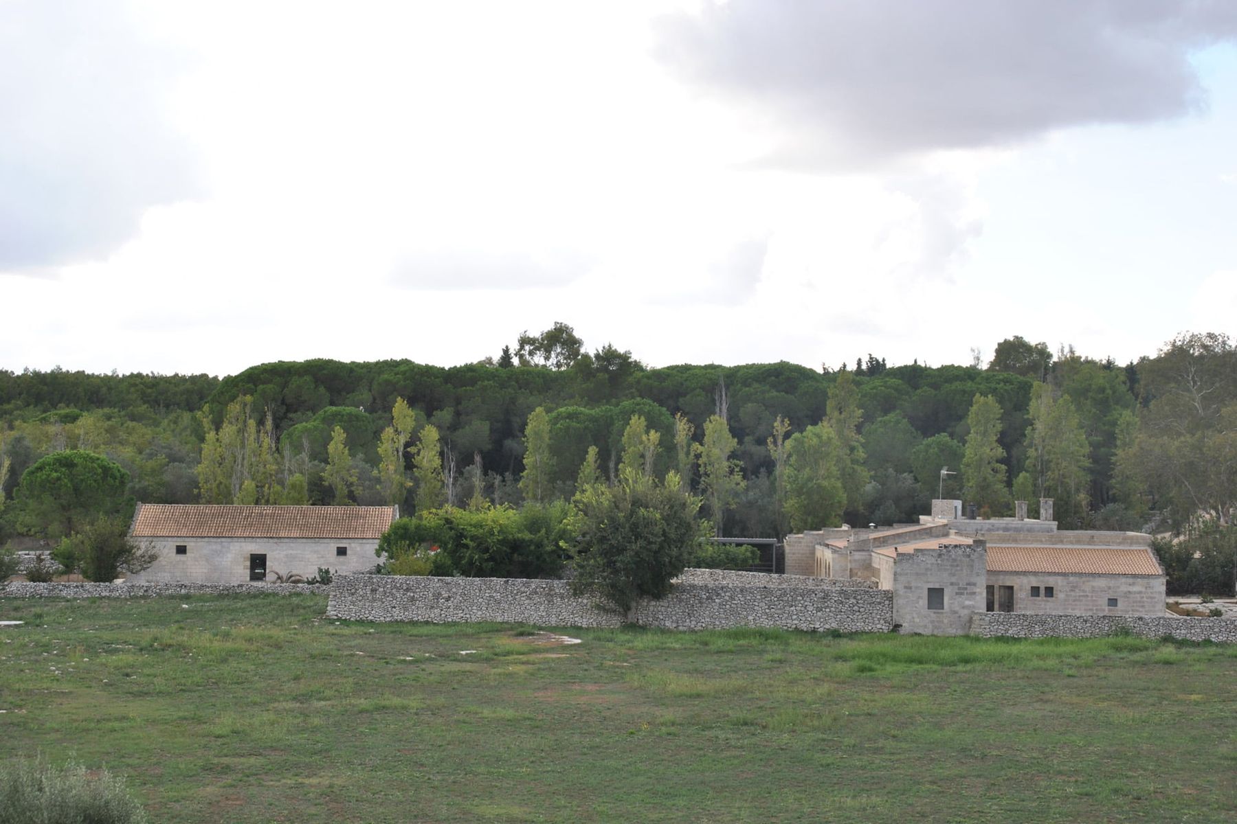 Spiritosa Torcito