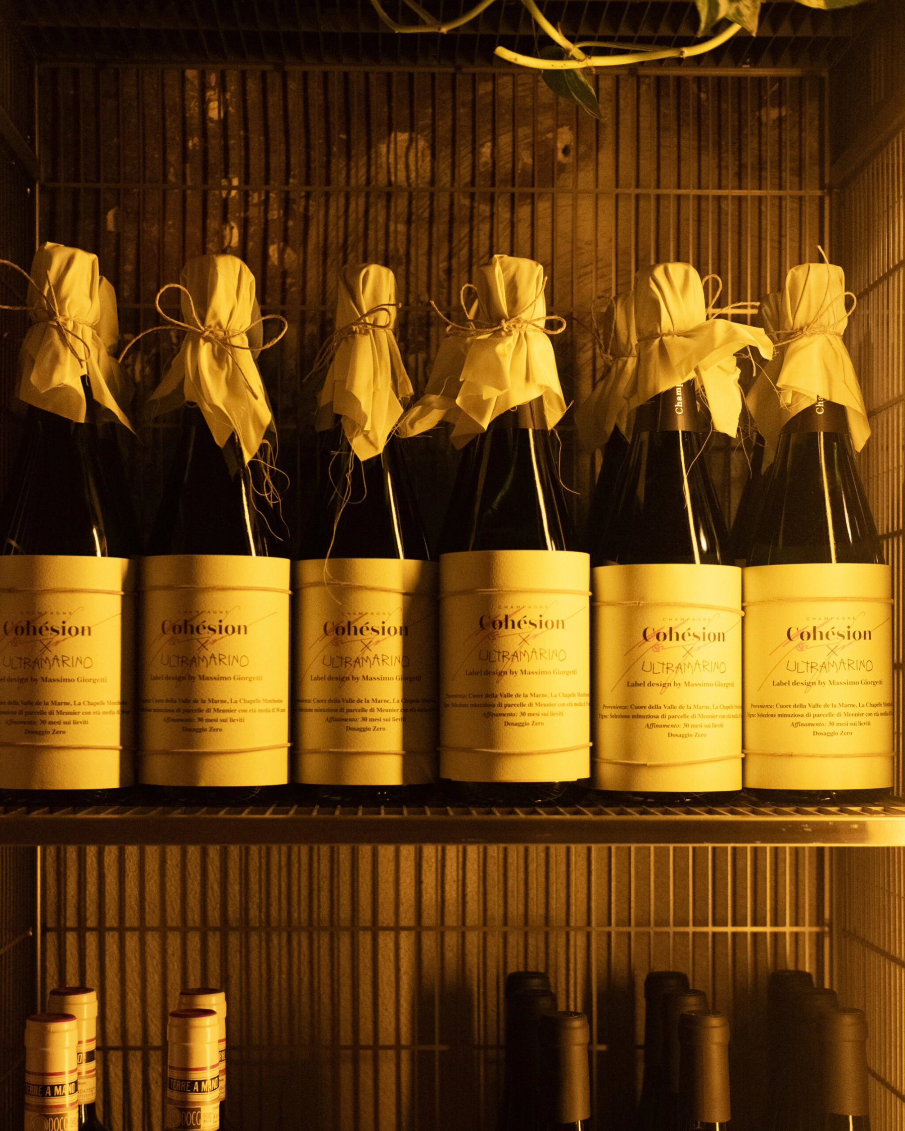 bottiglie di champagne