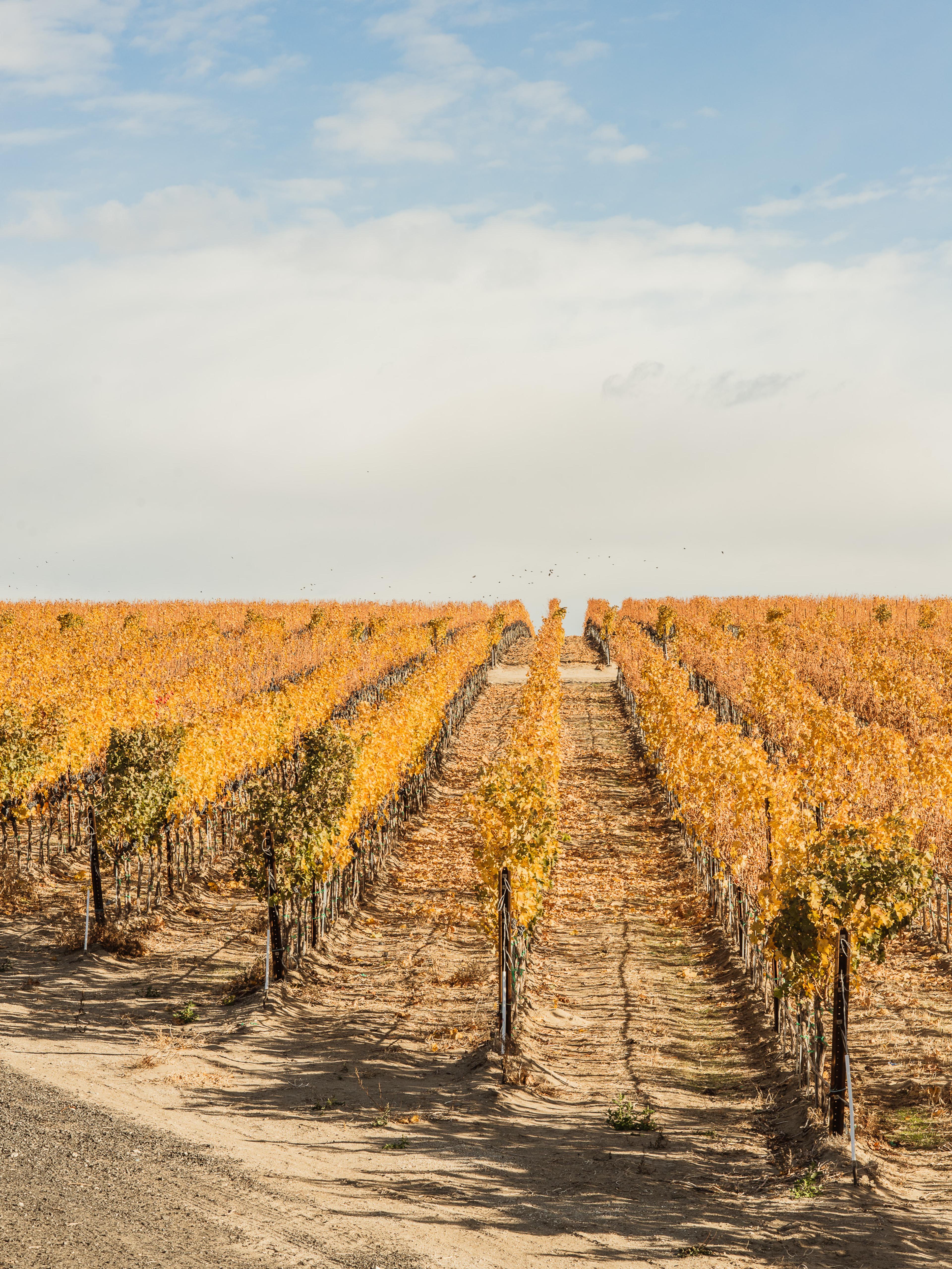 November | Royal Slope AVA