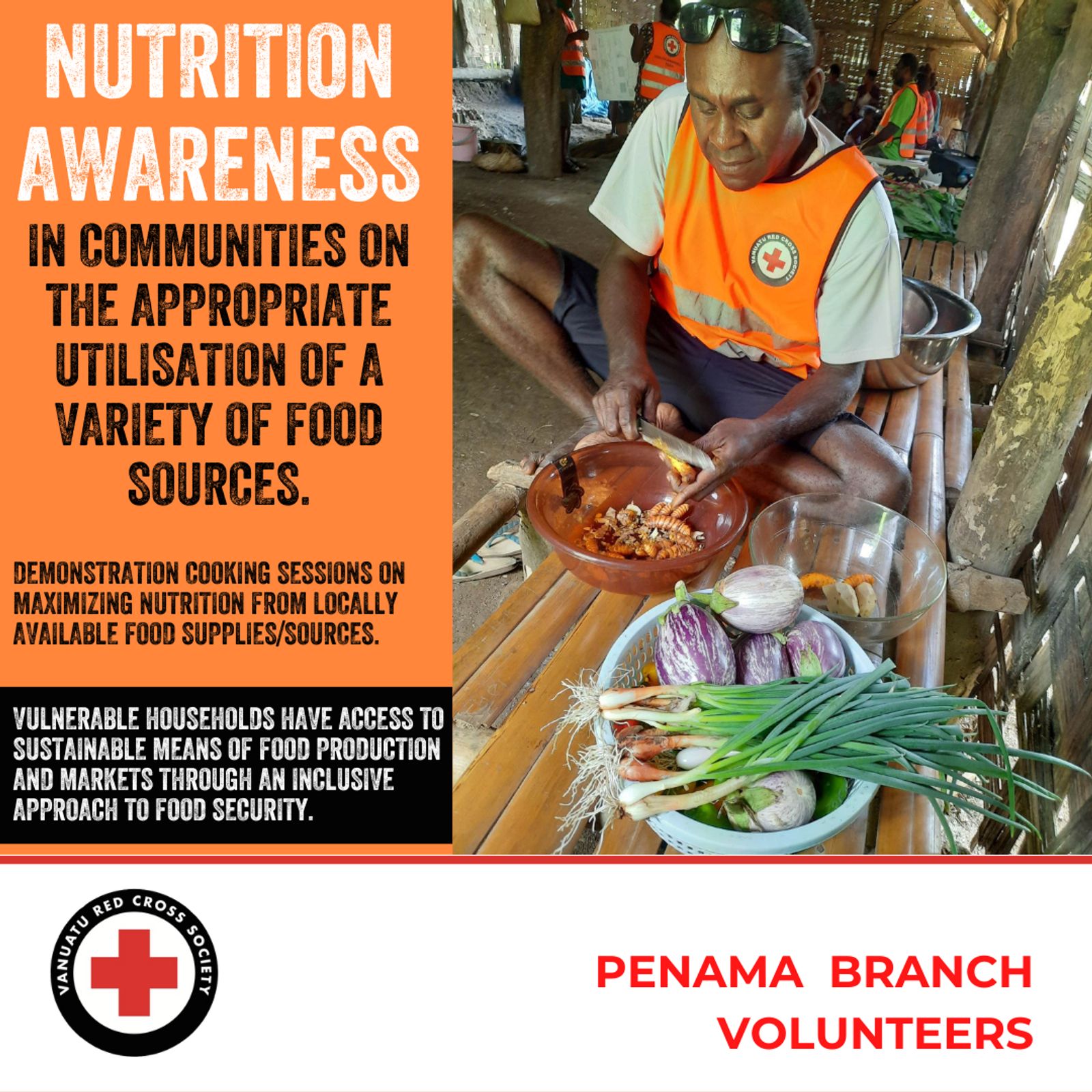 Vanuatu Red Cross Nutrition Awareness Training