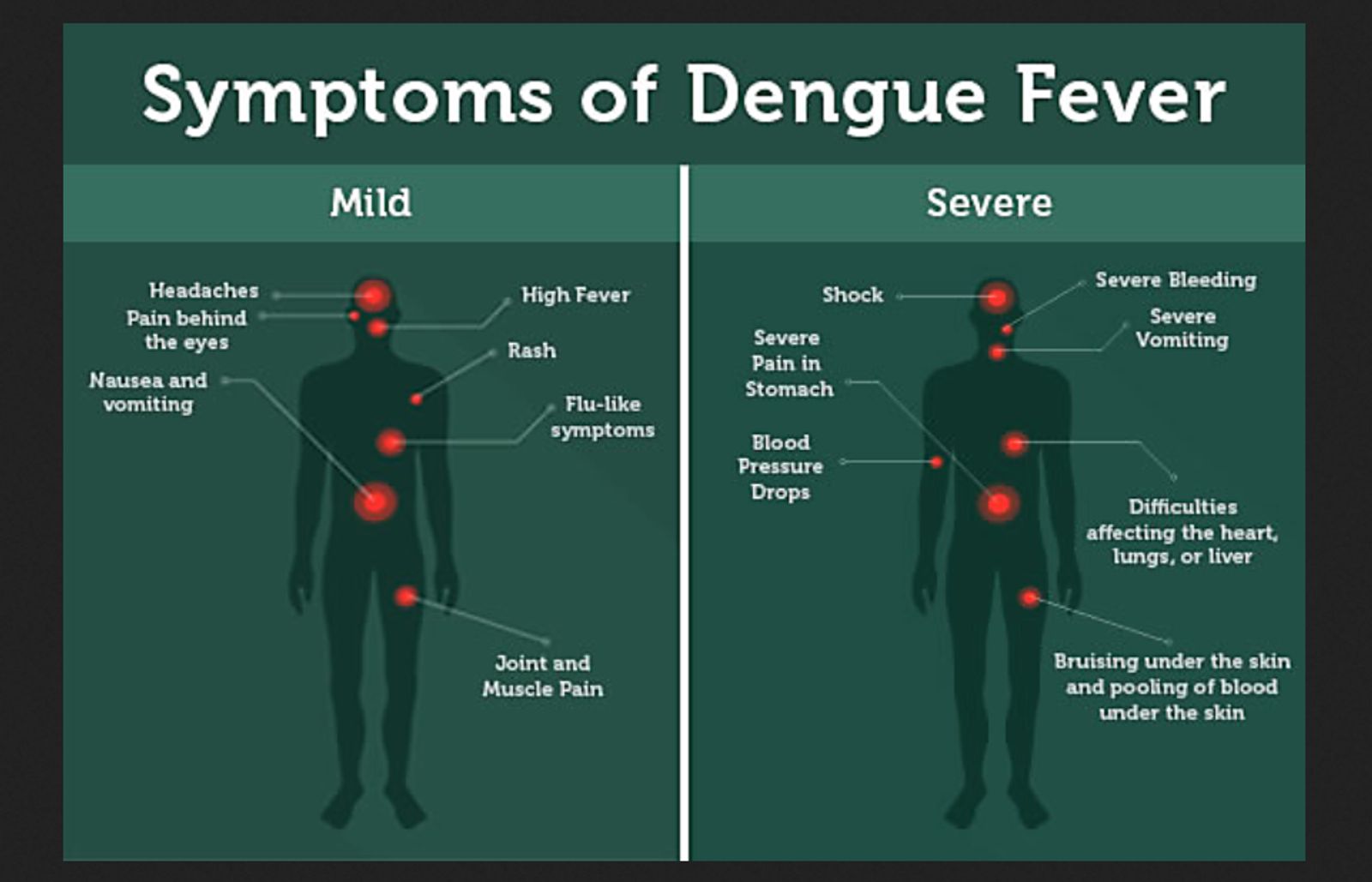 Vanuatu Red Cross dengue fever sms message outbreak