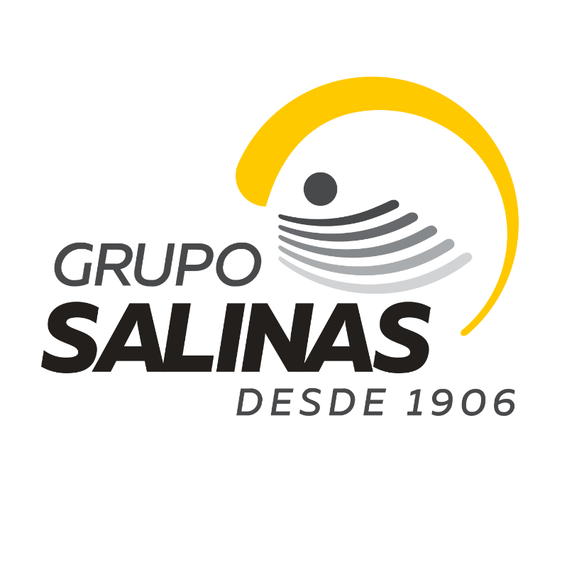 Grupo Salinas