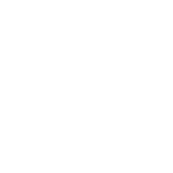 Brand Strategy service icon