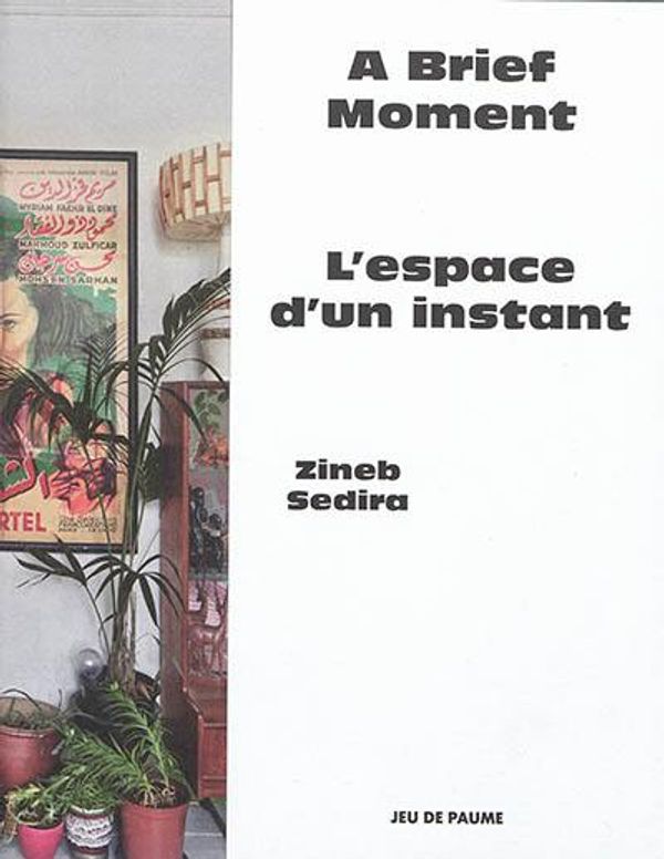 Couverture de A brief moment - L'espace d'un instant