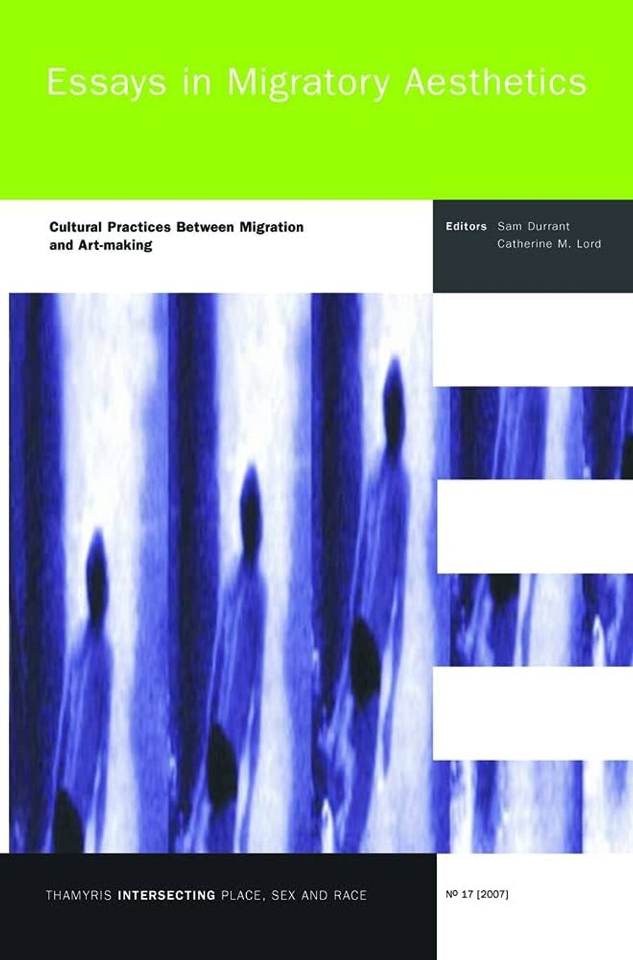 Couverture de Essays in migratory aesthetics : cultural practices between migration and art-making
