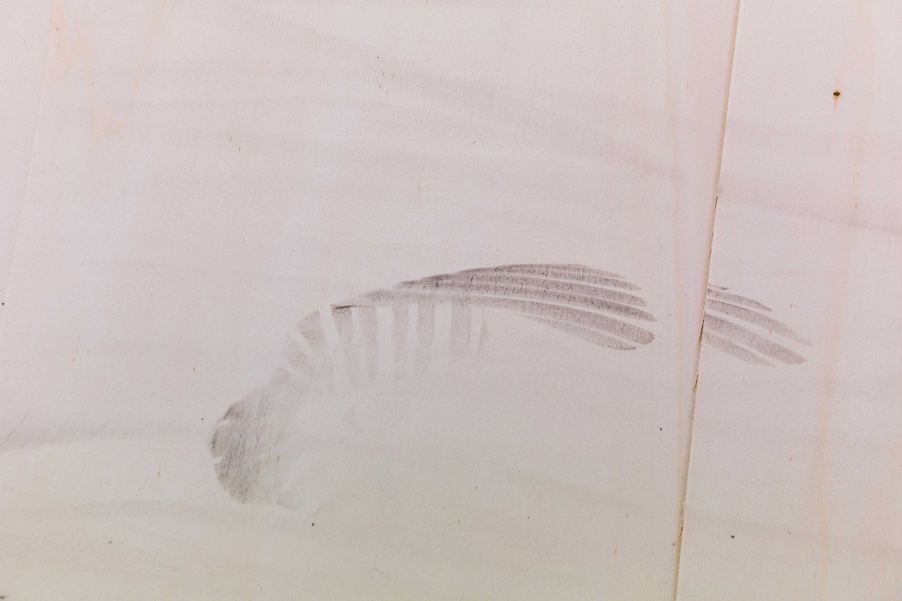 Exhibition Image